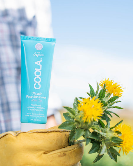 Coola Face Sunscreen White Tea SPF 50 - Premium Face Sunscreen from Marina St Barth - Just $32! Shop now at Marina St Barth