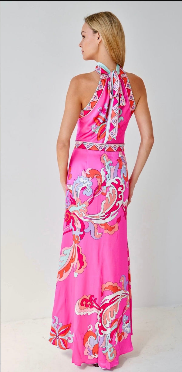 Paris Pink Rococo Silk Dress