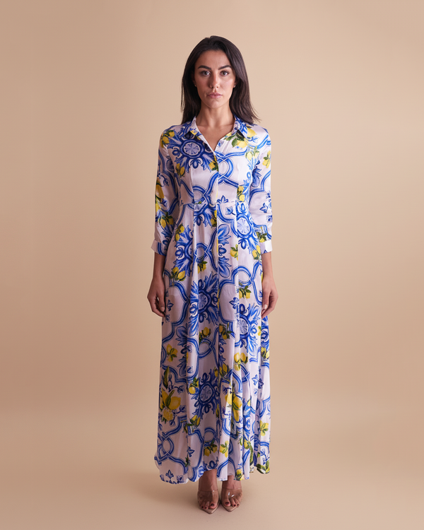 Shirt Dress Silk New