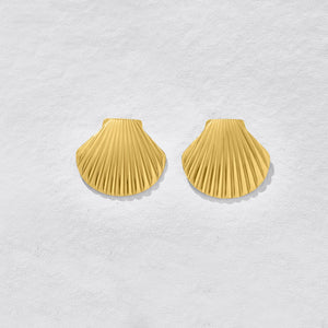 Caspian Clam Stud Earrings