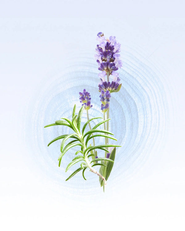 Glasshouse - 0.47 fl.oz. EDP - Diving into Cyprus