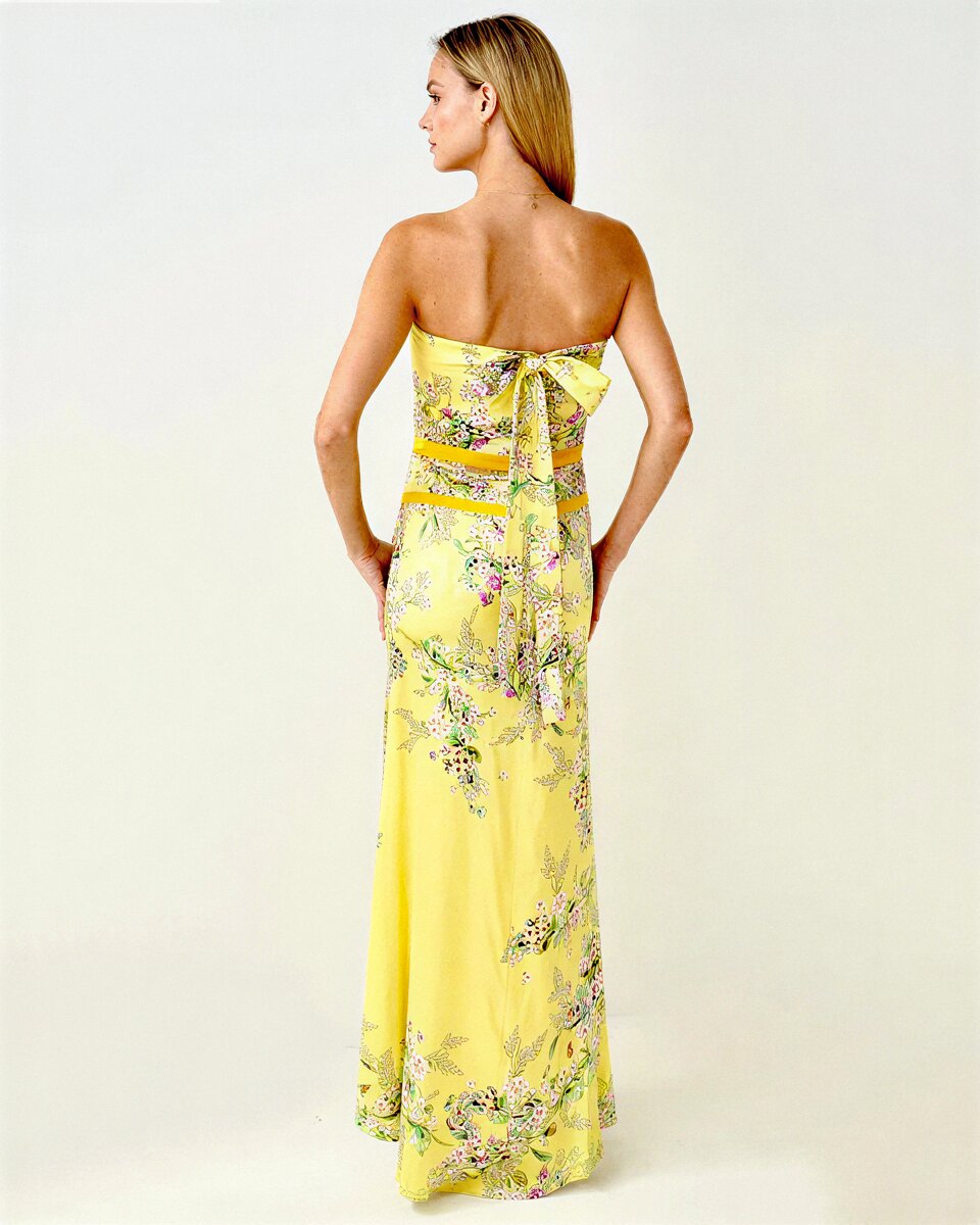 Paris Birdsong Silk Dress