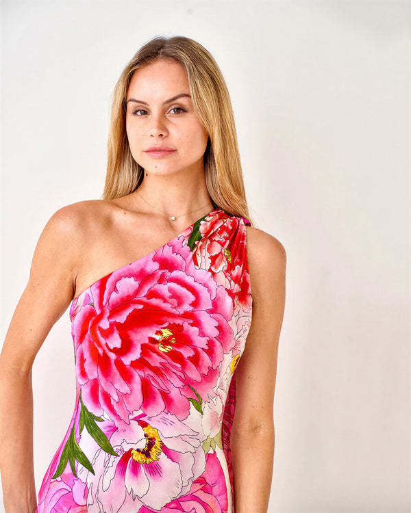 Paris Rose Affair Silk Dress