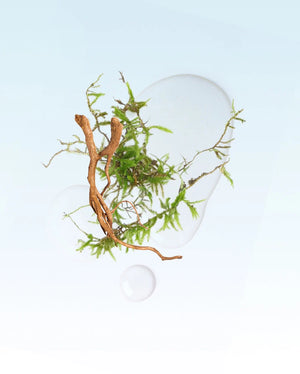 Glasshouse - 13.4 oz. Candle - The Hamptons