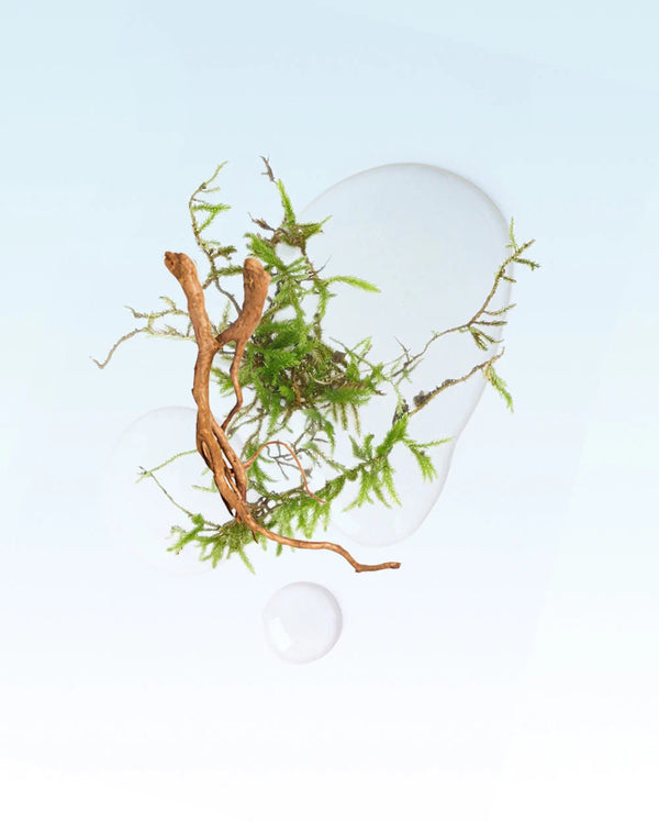 Glasshouse - 13.4 oz. Candle - The Hamptons