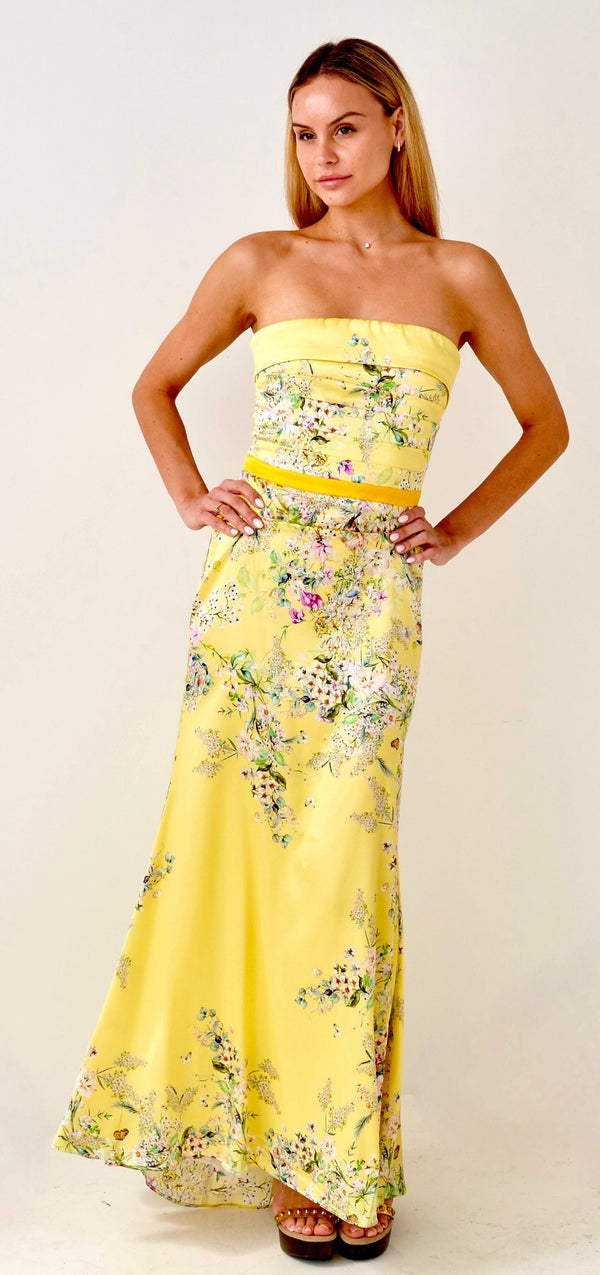 Paris Birdsong Silk Dress