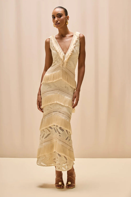 PatBo Lyra Mesh Maxi Dress