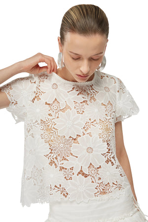 Coqui Top