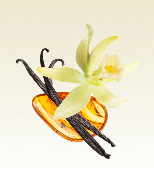Glasshouse - 0.47 fl.oz. EDP - Kyoto in Bloom