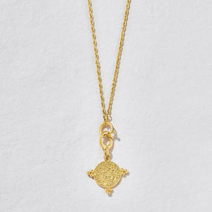 Nyra Coin Charm