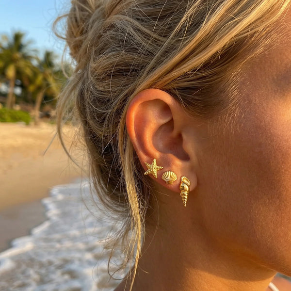 Shell Trio Stud Earrings Set