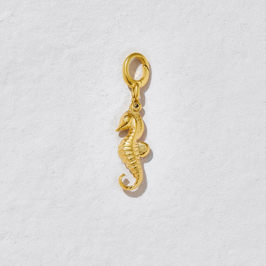Stormy Sea Horse Charm