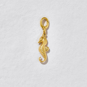 Stormy Sea Horse Charm